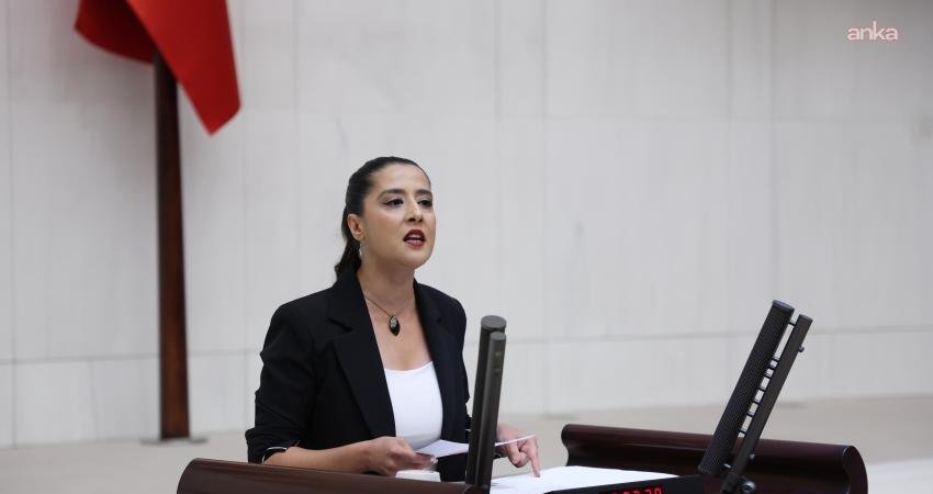 Emek Partisi (EMEP) Gaziantep Milletvekili Sevda Karaca, 5 Ocak 2020'den
