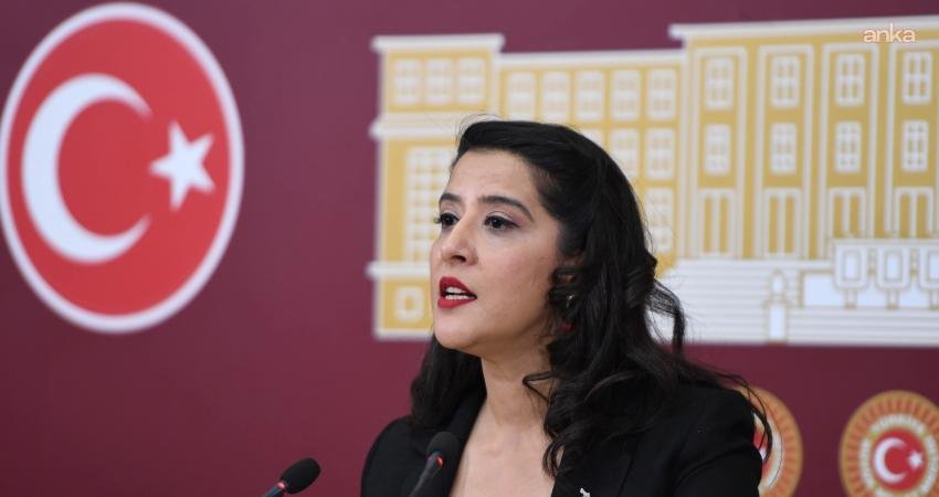 Emek Partisi (EMEP) Gaziantep Milletvekili Sevda Karaca, görevden uzaklaştırılan Görele