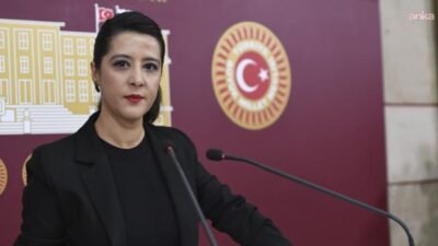 Emek Partisi (EMEP) Gaziantep Milletvekili Sevda Karaca, Afşin Elbistan Termik
