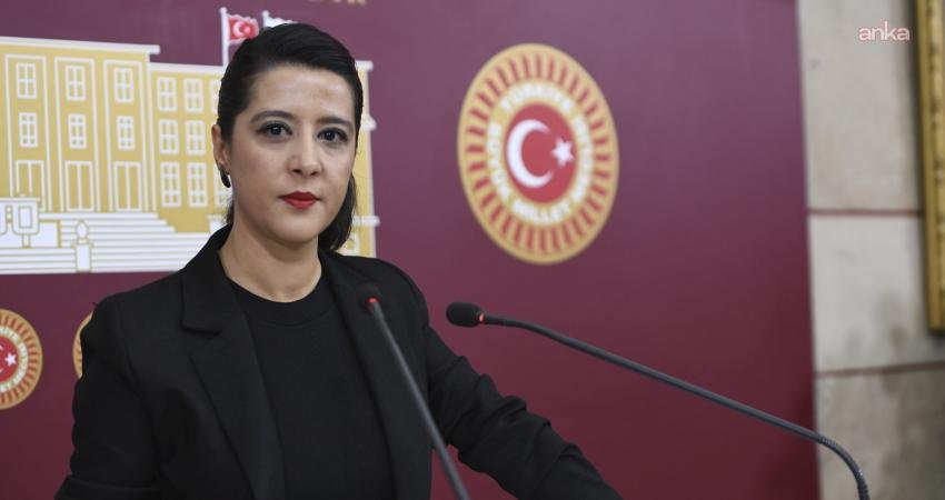 Emek Partisi (EMEP) Gaziantep Milletvekili Sevda Karaca, Afşin Elbistan Termik