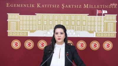 Emek Partisi (EMEP) Gaziantep Milletvekili Sevda Karaca, Defne Devlet Hastanesi'nin bir