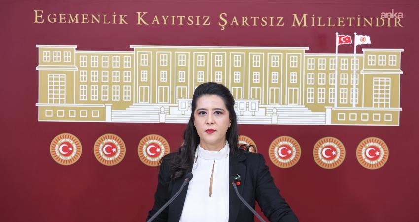 Emek Partisi (EMEP) Gaziantep Milletvekili Sevda Karaca, Defne Devlet Hastanesi'nin bir