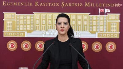 Emek Partisi (EMEP) Gaziantep Milletvekili Sevda Karaca, Çalışma ve Sosyal