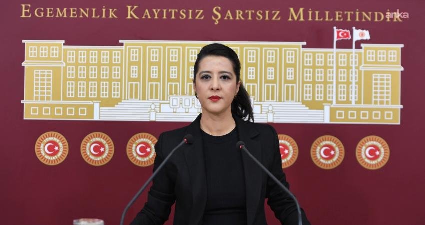 Emek Partisi (EMEP) Gaziantep Milletvekili Sevda Karaca, Çalışma ve Sosyal