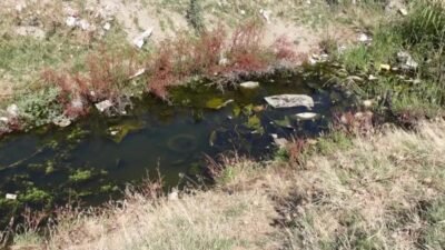 İzmir Büyükşehir Belediyesi, “Sağlıklı Körfez” hedefi doğrultusunda Gediz Nehri’ni mercek