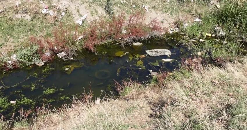 İzmir Büyükşehir Belediyesi, “Sağlıklı Körfez” hedefi doğrultusunda Gediz Nehri’ni mercek
