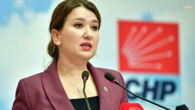 CHP Genel Başkan Yardımcısı Gökçe Gökçen, AK Partili siyasetçilerin Cumhurbaşkanı