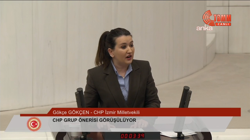 CHP Genel Başkan Yardımcısı Gökçe Gökçen, Avrupa İnsan Hakları Mahkemesi