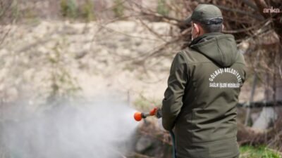 Gölbaşı Belediyesi, sivrisinek ve haşerelere karşı mücadelesini yılın dört mevsimine