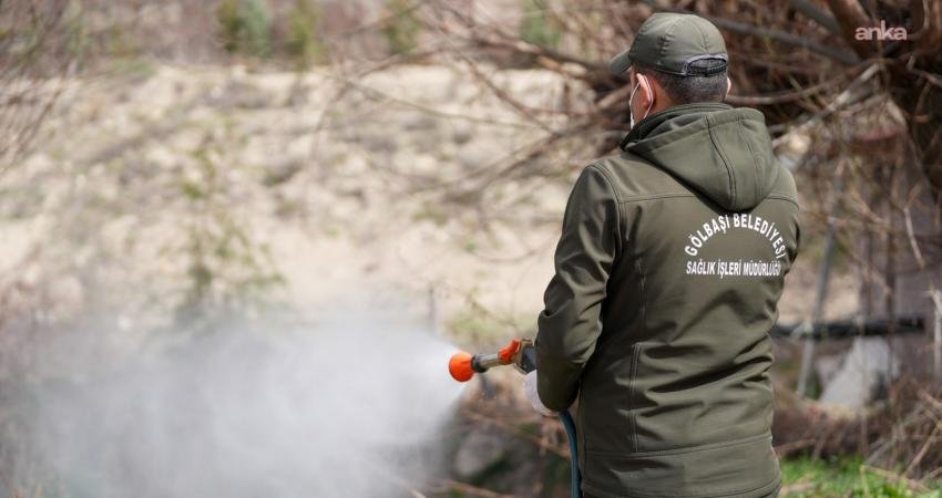 Gölbaşı Belediyesi, sivrisinek ve haşerelere karşı mücadelesini yılın dört mevsimine