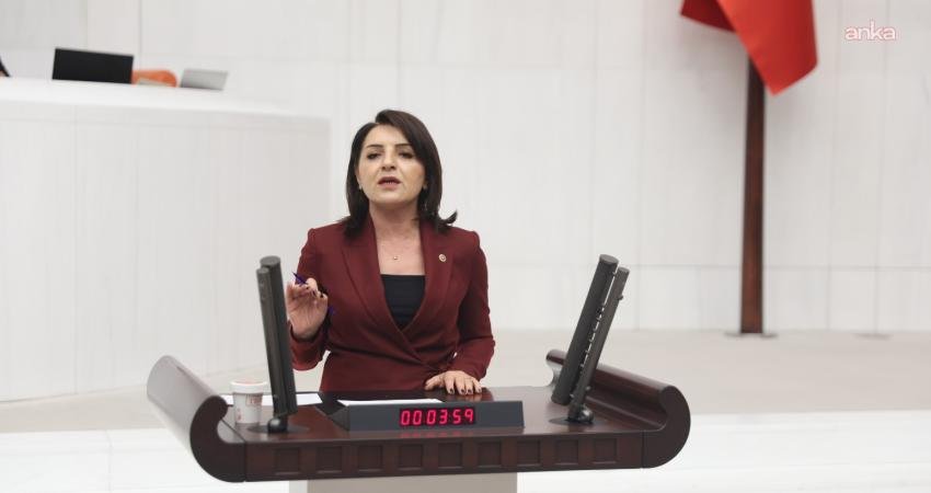 CHP Mersin Milletvekili Gülcan Kış, son günlerde art arda yaşanan