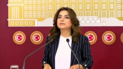 DEM Parti Grup Başkanvekili Gülistan Kılıç Koçyiğit, Kahramanmaraş ve Şanlıurfa’daki