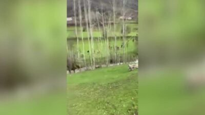 Şemdinli'de 26 Nisan Pazar günü dereye düşerek kaybolan 8 yaşındaki