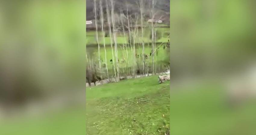 Şemdinli'de 26 Nisan Pazar günü dereye düşerek kaybolan 8 yaşındaki