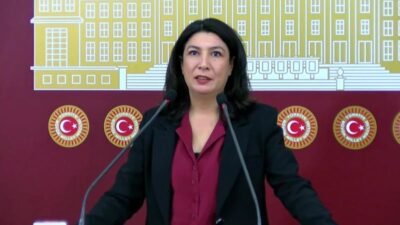 DEM Parti Diyarbakır Milletvekili Halide Türkoğlu, Gülistan Doku soruşturmasındaki gelişmelere