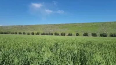 Hatay’ın Kumlu ilçesine bağlı Yukarı Ayrancı Mahallesi sakinleri, Reyhanlı Barajı’ndan