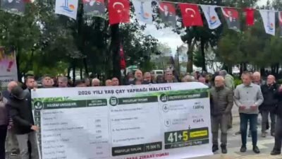 Hopa-Kemalpaşa Ziraat Odası Başkanı Olcay Muti, "Yaş çay taban fiyatı