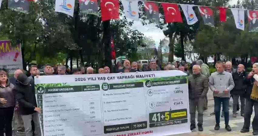 Hopa-Kemalpaşa Ziraat Odası Başkanı Olcay Muti, "Yaş çay taban fiyatı
