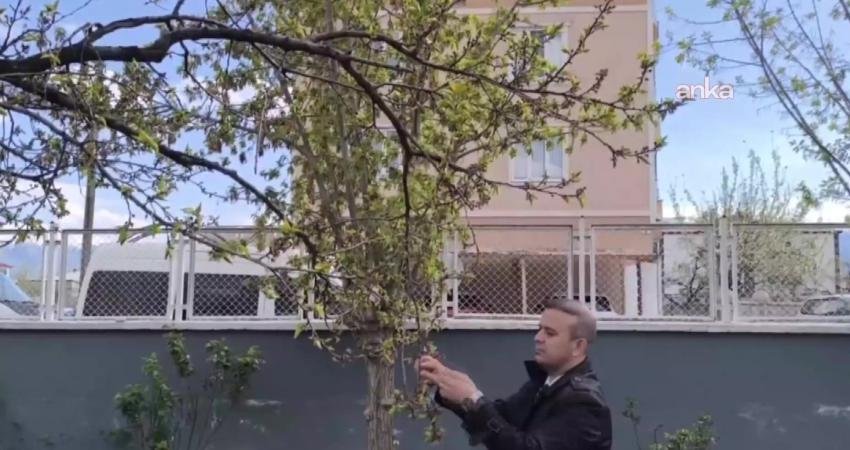 Iğdır'da gece saatlerinde hava sıcaklıklarının sıfırın altına düşmesi, özellikle erken