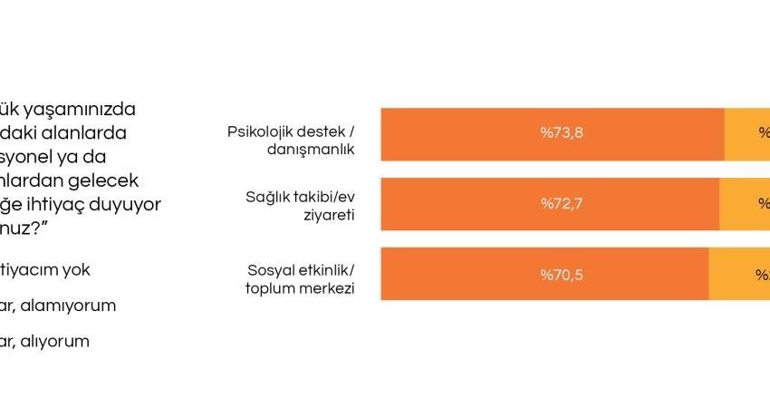 İstanbul Büyükşehir Belediyesi'ne (İBB) bağlı İstanbul Planlama Ajansı (İPA), kentteki