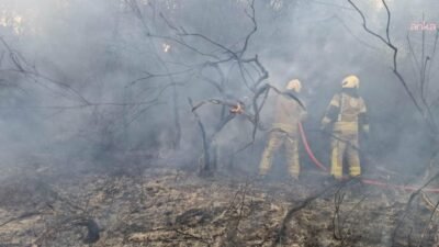 İstanbul Valiliği,  Beykoz Kılıçlı Mahallesi'nde dün 15.50 sıralarında başlayan;