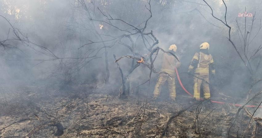 İstanbul Valiliği,  Beykoz Kılıçlı Mahallesi'nde dün 15.50 sıralarında başlayan;