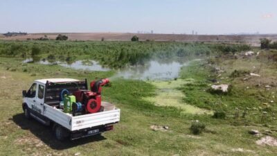İstanbul Valiliği, yaz mevsiminin yaklaşmasıyla birlikte artan vektör (karasinek, sivrisinek,