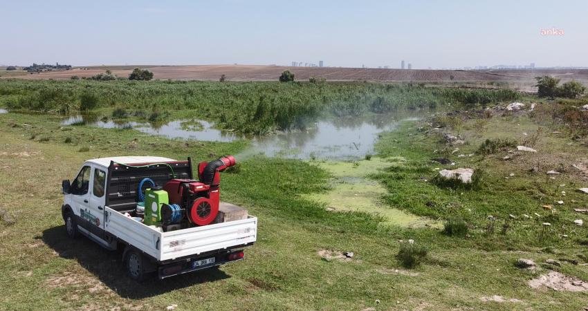 İstanbul Valiliği, yaz mevsiminin yaklaşmasıyla birlikte artan vektör (karasinek, sivrisinek,