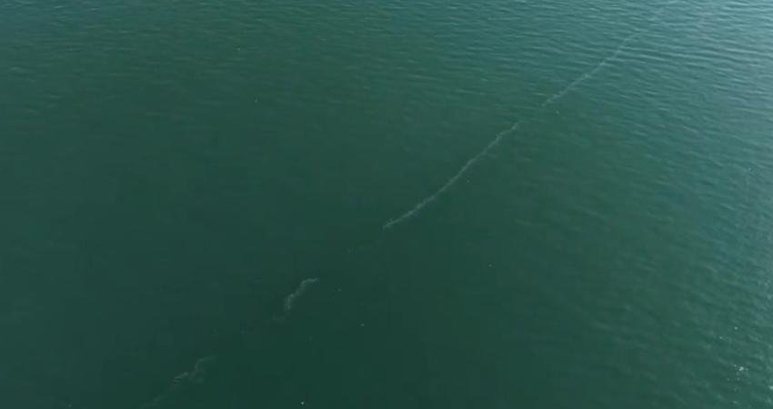 İzmir Büyükşehir Belediyesi’nin dron destekli rutin taramalarında, kasım ayından bu