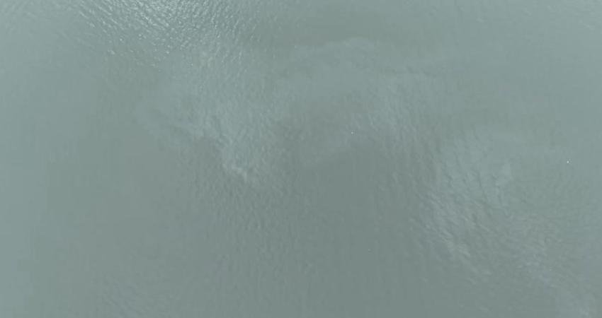 İzmir Büyükşehir Belediyesi tarafından İzmir Körfezi’nde  yapılan rutin dron taramaları