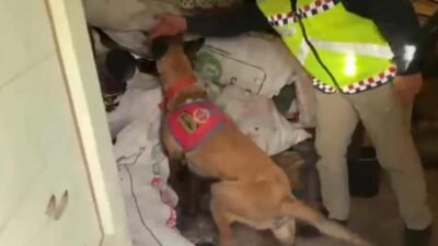 İçişleri Bakanlığı, jandarma tarafından 25 ilde silah kaçakçılarına ve ruhsatsız