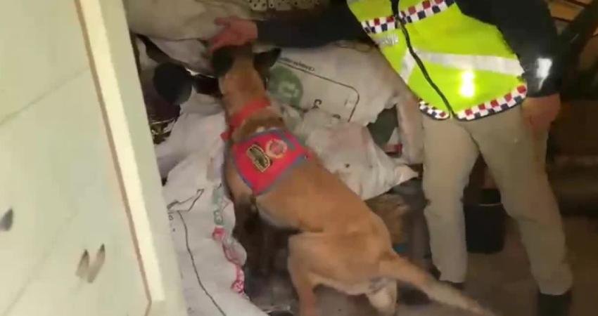 Jandarmadan 25 ilde operasyon: 396 ruhsatsız silah ele geçirildi, 404 şüpheli yakalandı İçişleri Bakanlığı, jandarma tarafından 25 ilde silah kaçakçılarına ve ruhsatsız