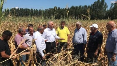 CHP Tokat Milletvekili Kadim Durmaz, Cumhurbaşkanı Kararı ile mısır ithalatında