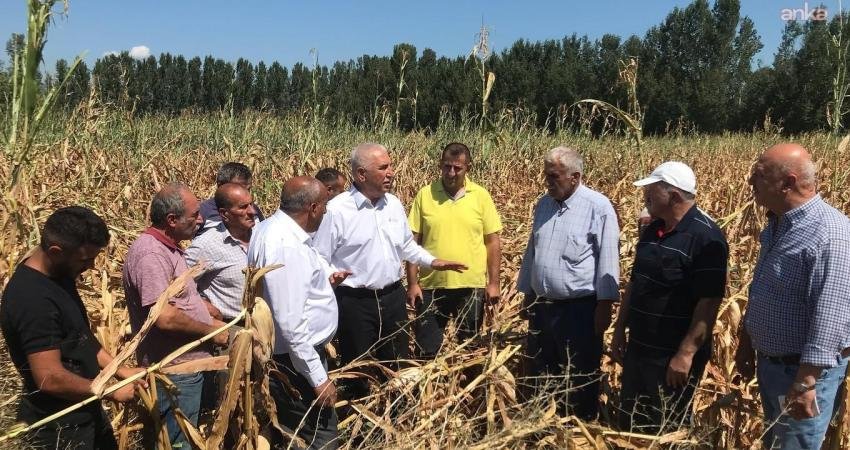 CHP Tokat Milletvekili Kadim Durmaz, Cumhurbaşkanı Kararı ile mısır ithalatında