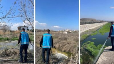 Kahramankazan Belediyesi Veteriner İşleri Müdürlüğü ekipleri, baharın gelmesiyle birlikte artış