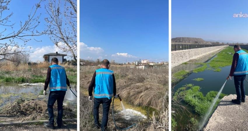 Kahramankazan Belediyesi Veteriner İşleri Müdürlüğü ekipleri, baharın gelmesiyle birlikte artış