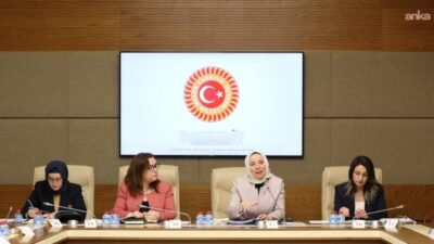 TBMM Kadın Erkek Fırsat Eşitliği Komisyonu'nda (KEFEK) Kamu Denetçiliği Kurumu'nun