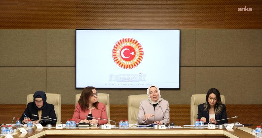 TBMM Kadın Erkek Fırsat Eşitliği Komisyonu'nda (KEFEK) Kamu Denetçiliği Kurumu'nun