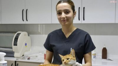 Kuşadası Belediyesi Veteriner Hekimi Ceren Yağmur Aktaş, "Hayvanseverler bakımını üstlendikleri sahipsiz