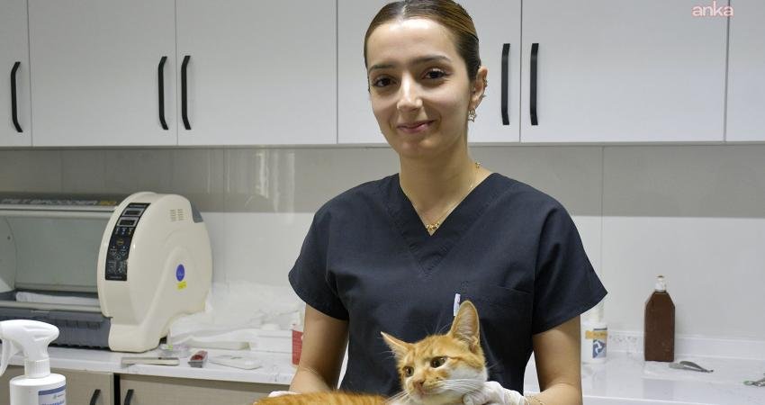 Kuşadası Belediyesi Veteriner Hekimi Ceren Yağmur Aktaş, "Hayvanseverler bakımını üstlendikleri sahipsiz