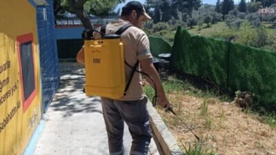 Kuşadası Evcil Hayvan Bakım ve Rehabilitasyon Merkezi ekipleri, sokak hayvanlarını