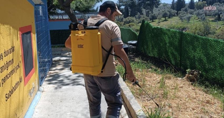 Kuşadası Evcil Hayvan Bakım ve Rehabilitasyon Merkezi ekipleri, sokak hayvanlarını