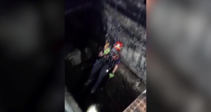 İzmir’de 20 metrelik kuyuya düşen kuzu, itfaiye ekiplerinin titiz çalışması