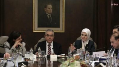 Aile ve Sosyal Hizmetler Bakanı Mahinur Özdemir Göktaş, "Cumhurbaşkanlığı Hukuk