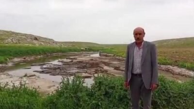 CHP Şanlıurfa Milletvekili Mahmut Tanal, Şanlıurfa'nın Eyyübiye ilçesi kırsalında organize