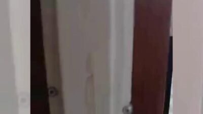 Malatya genelinde etkili olan dolu yağışı, başta kayısı olmak üzere