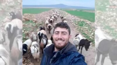 Mardin'de çoban Emrah Aksu'nun silahlı saldırıda öldürülmesine ilişkin yürütülen soruşturma