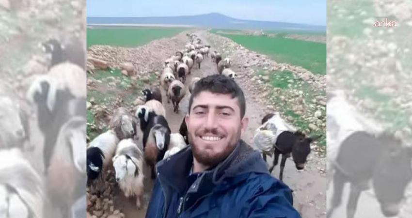 Mardin'de çoban Emrah Aksu'nun silahlı saldırıda öldürülmesine ilişkin yürütülen soruşturma