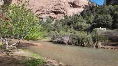 Mersin Büyükşehir Belediyesi Kültür, Sanat ve Sosyal İşler Dairesi Başkanlığı