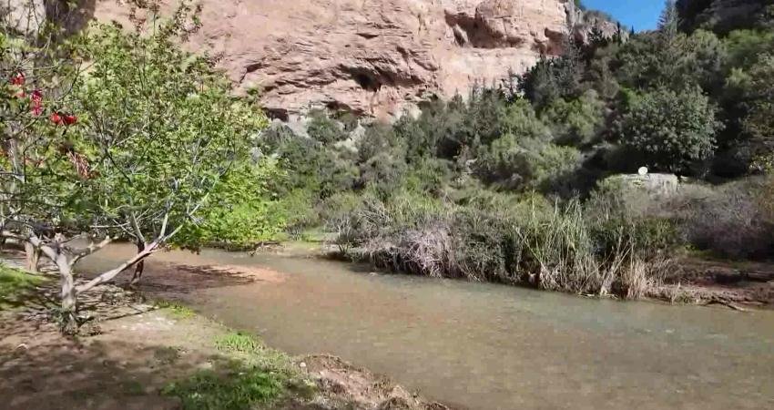 Mersin Büyükşehir Belediyesi Kültür, Sanat ve Sosyal İşler Dairesi Başkanlığı